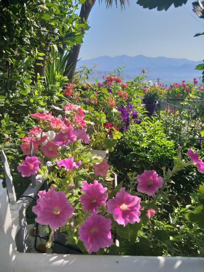 Guesthouse Villa Joanna&Mattheo Sarandë Eksteriør billede
